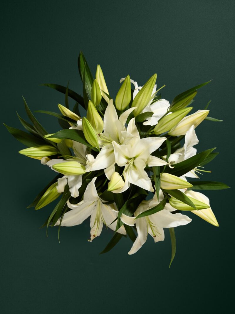 Baltas lilijas, Balto liliju ziedu pušķis