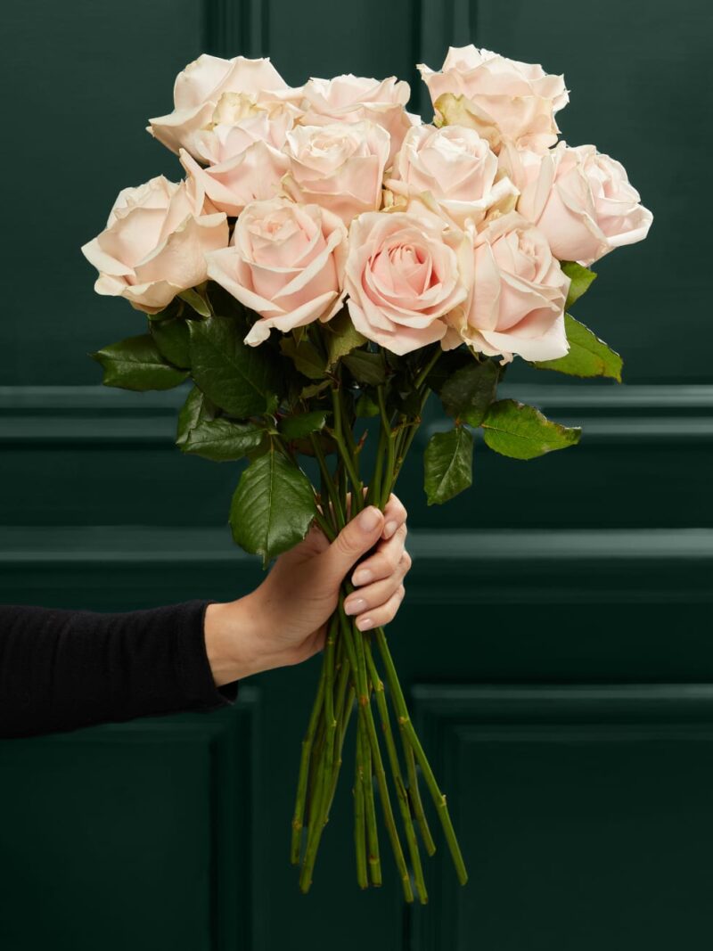 Maigas rozā krāsas Avalanche™ rožu pušķis