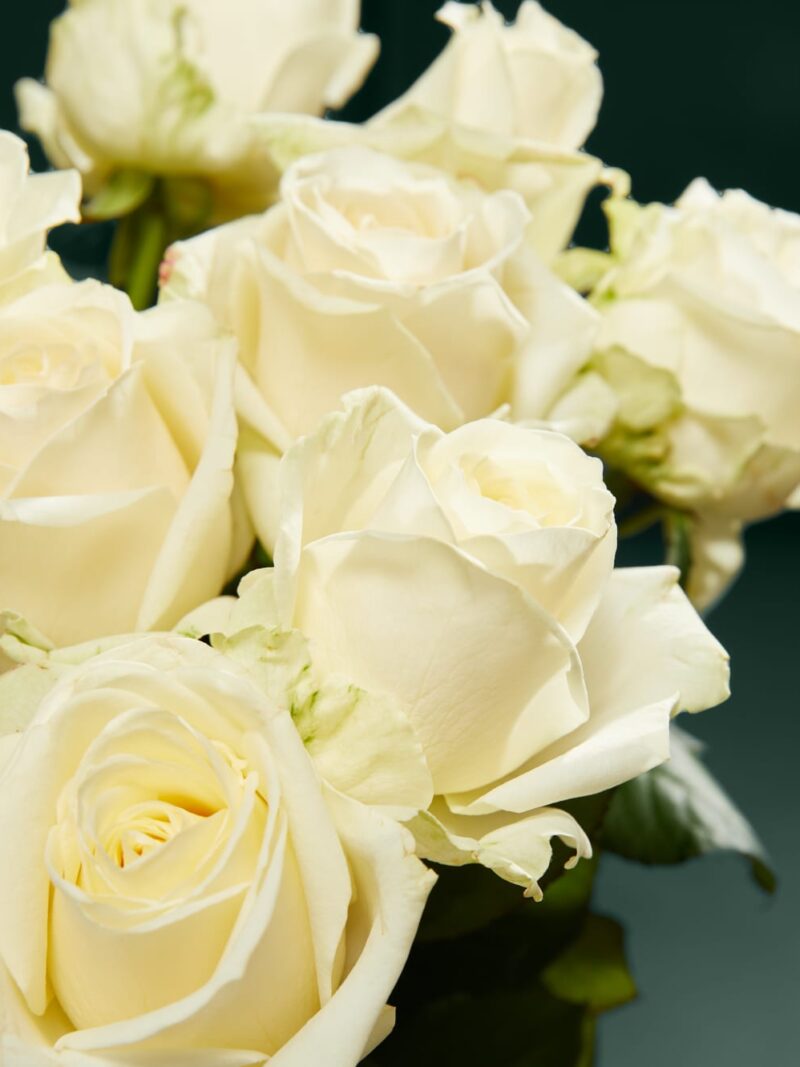 White Avalanche™ rožu pušķis