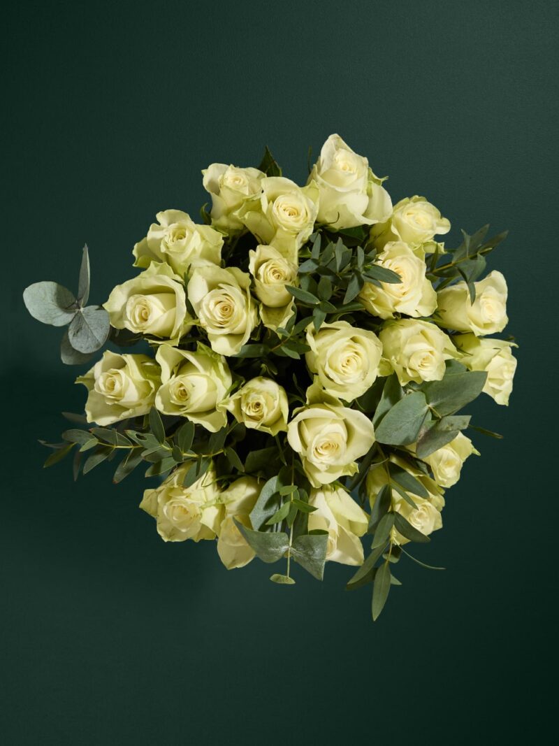 Svētku balto rožu un eikalipta ziedu pušķis