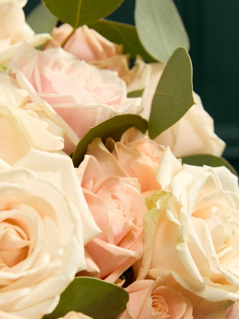 Īpašs klasisko rožu ziedu pušķis