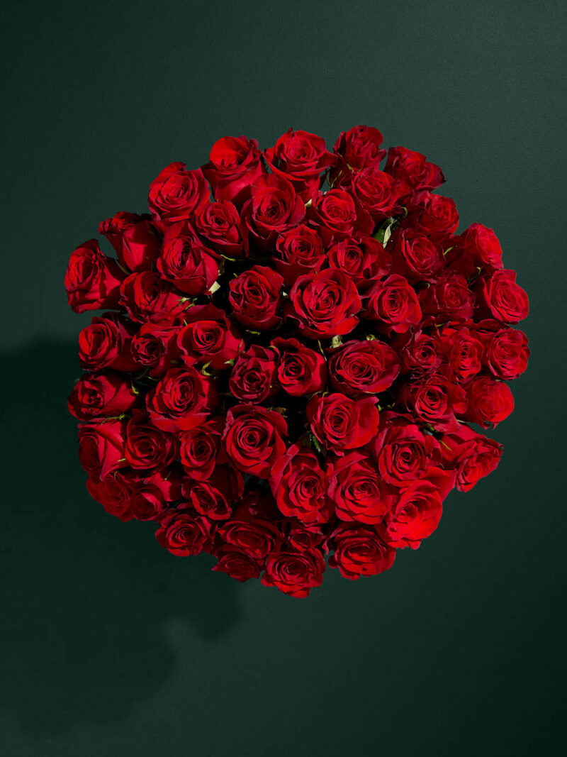 Sarkano rožu ziedu pušķis