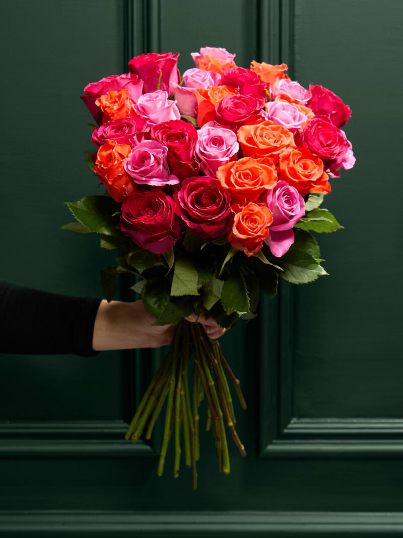 Krāšņu sarkano un rozā rožu pušķis