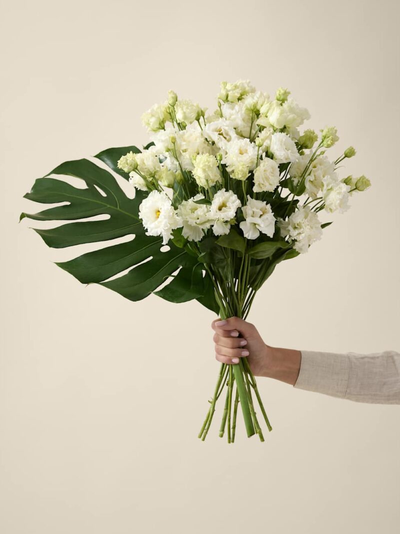 Balta Eustoma ziedu pušķis