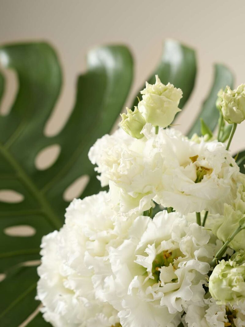 Balta Eustoma ziedu pušķis