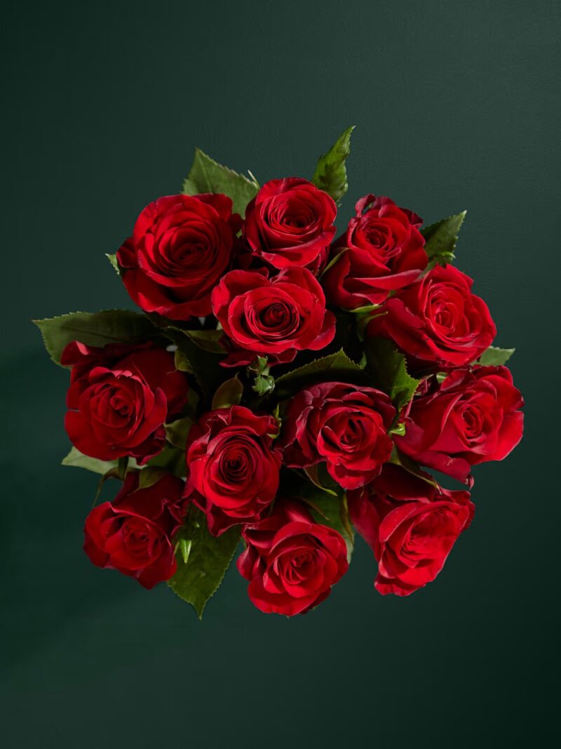Desmit tumši sarkanu rožu ziedu pušķis