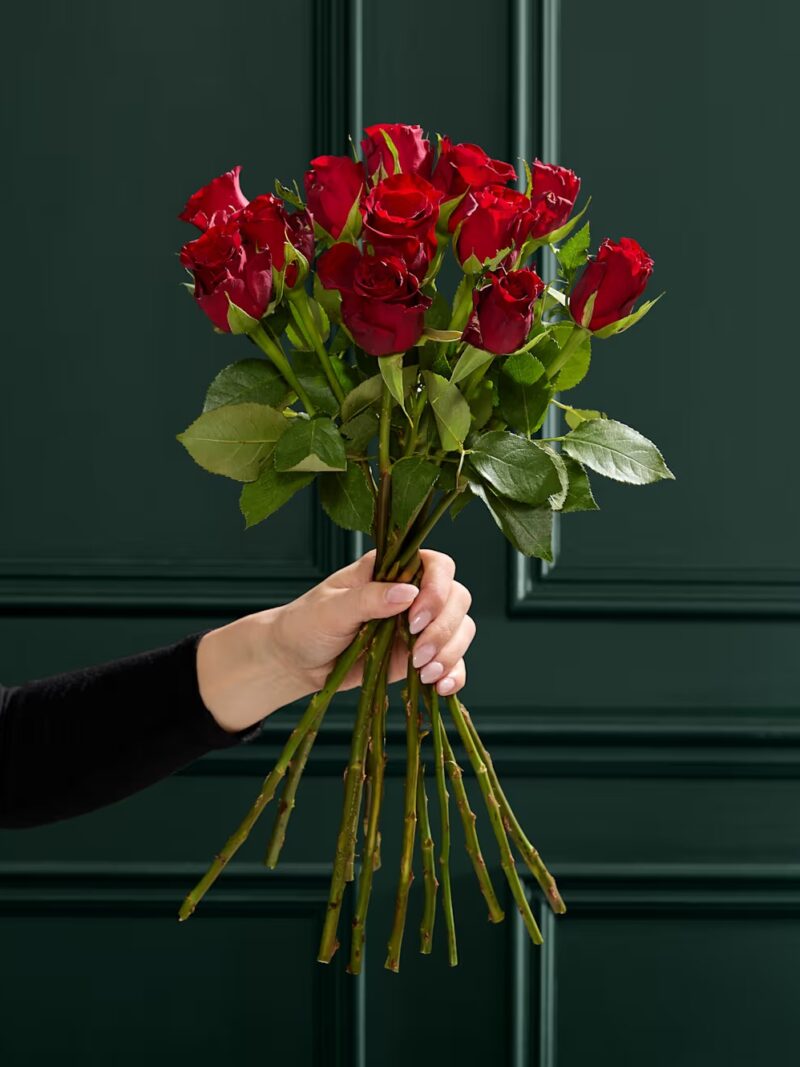 Desmit tumši sarkanu rožu ziedu pušķis