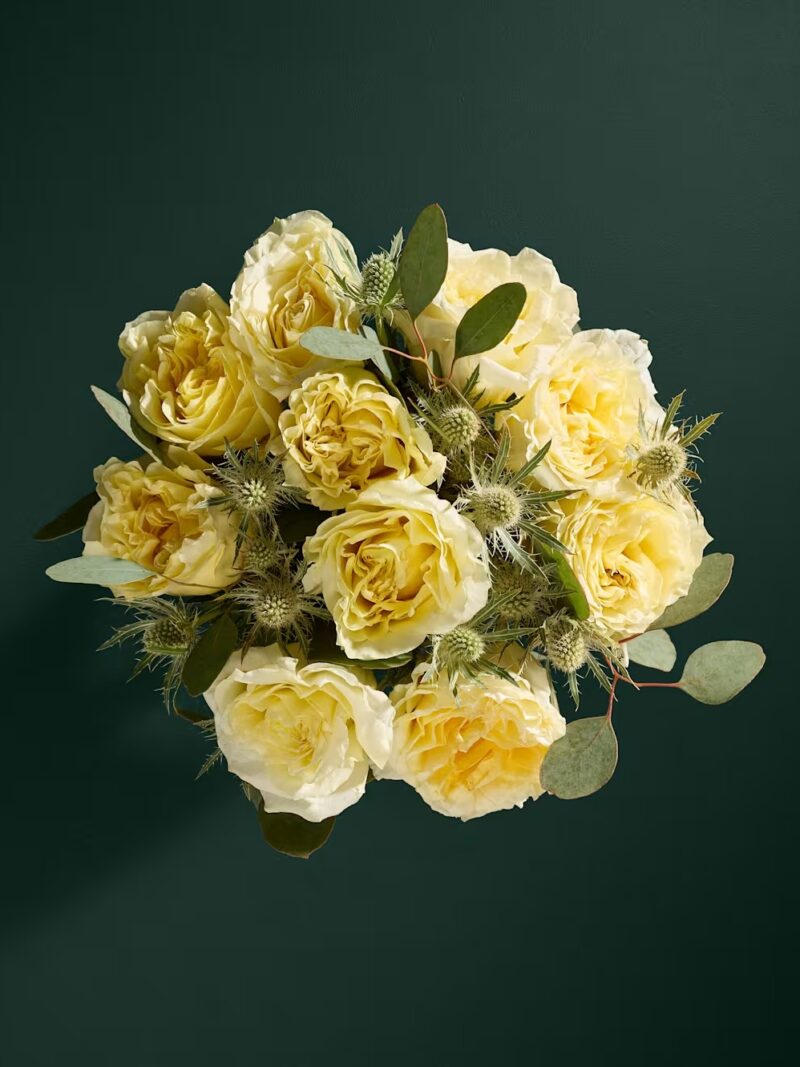 Krēmkrāsas peoniju rožu ziedu pušķis