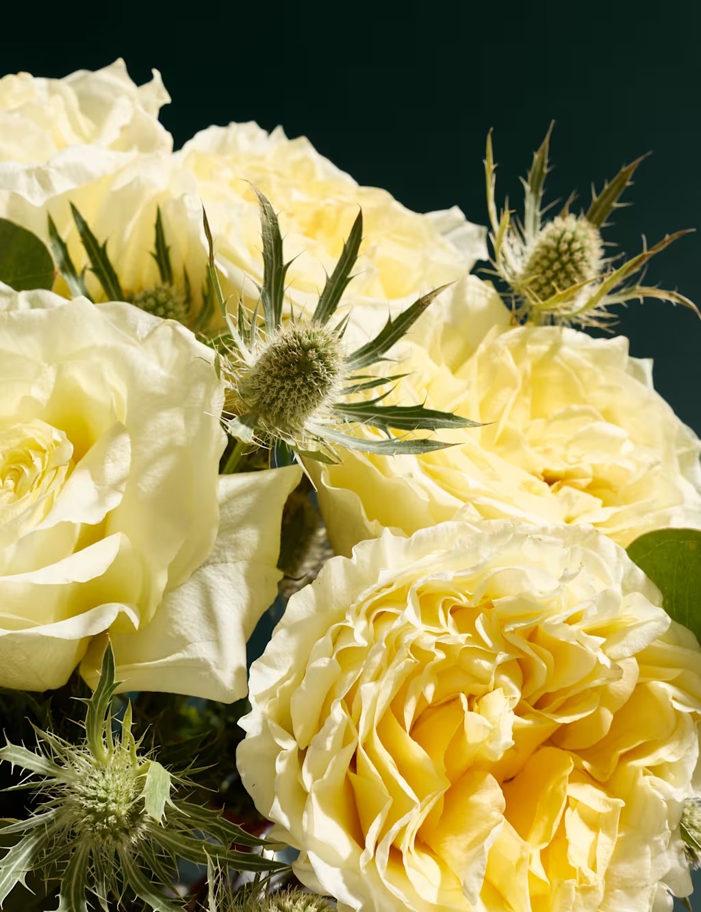 Krēmkrāsas peoniju rožu ziedu pušķis