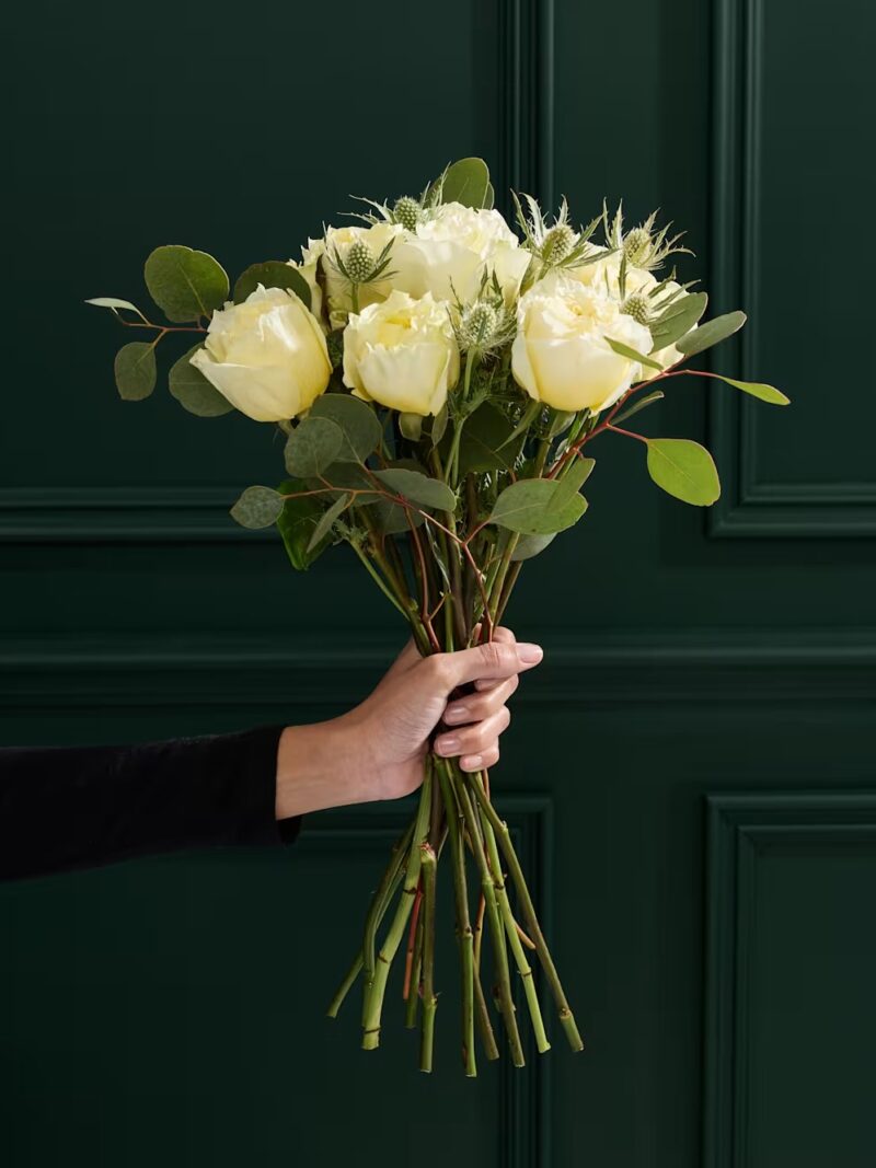 Krēmkrāsas peoniju rožu ziedu pušķis