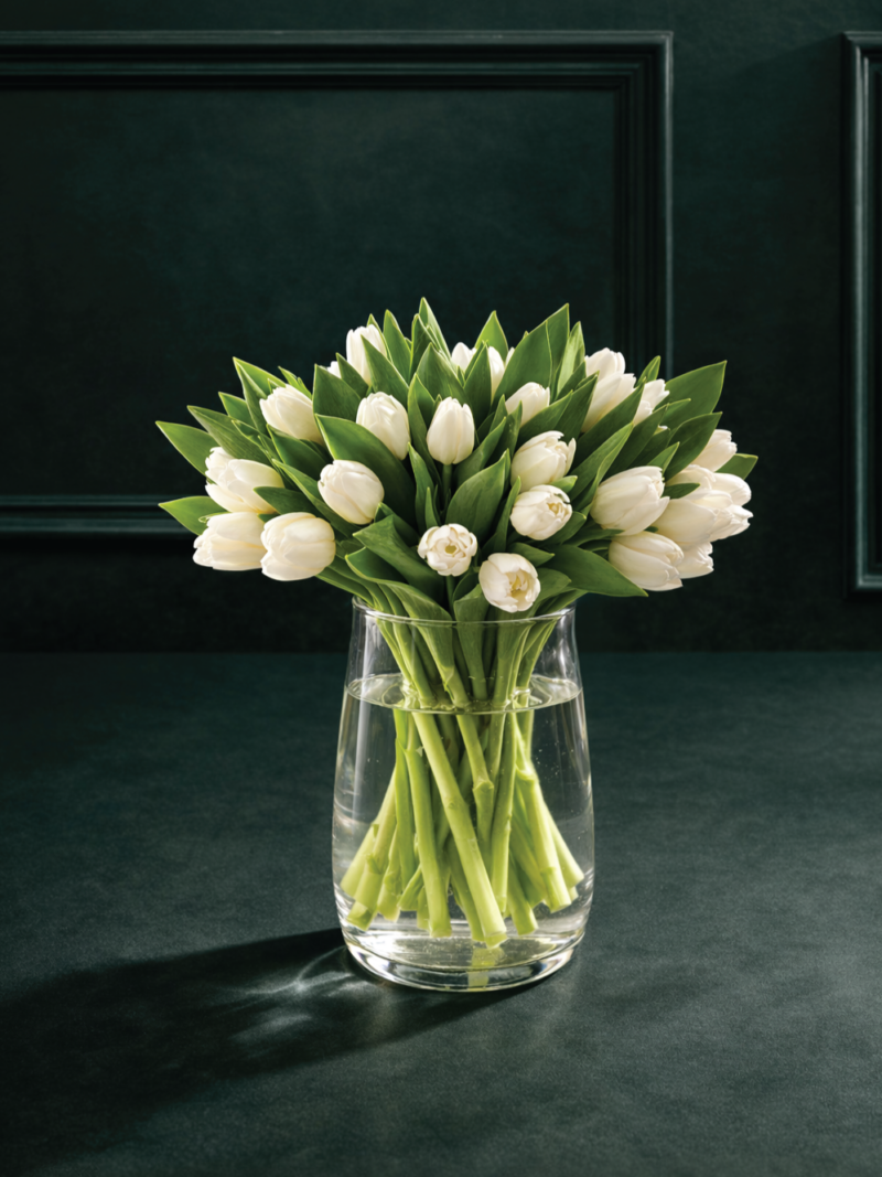 Balto tulpju ziedu pušķis