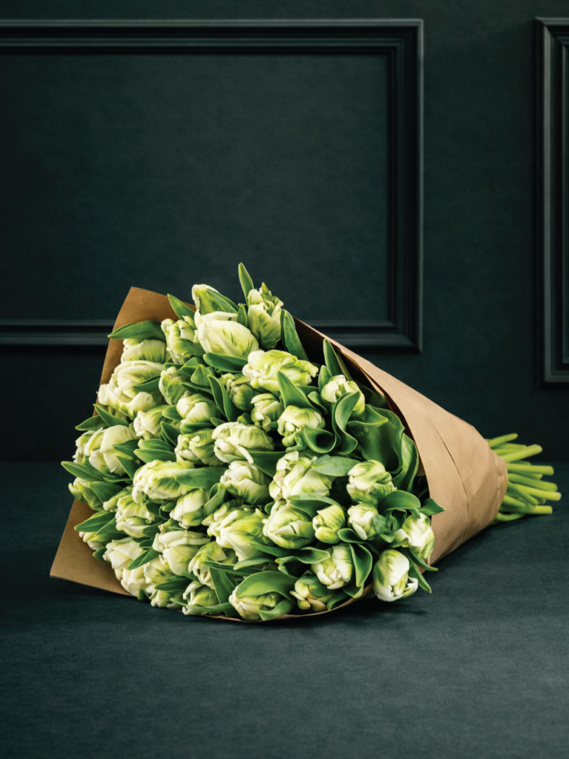 Balti zaļš, pieneņu, mainīgu krāsu tulpju ziedu pušķis