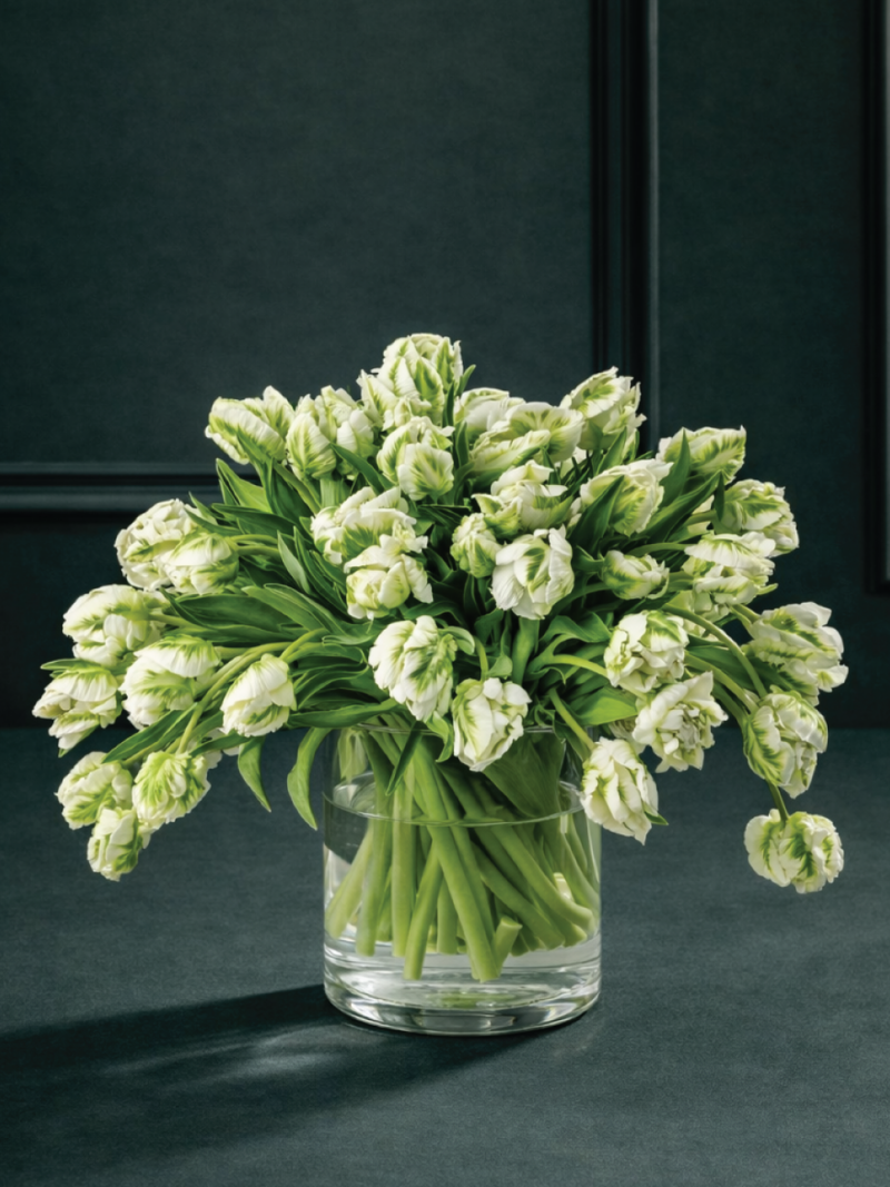 Balti zaļš, pieneņu, mainīgu krāsu tulpju ziedu pušķis