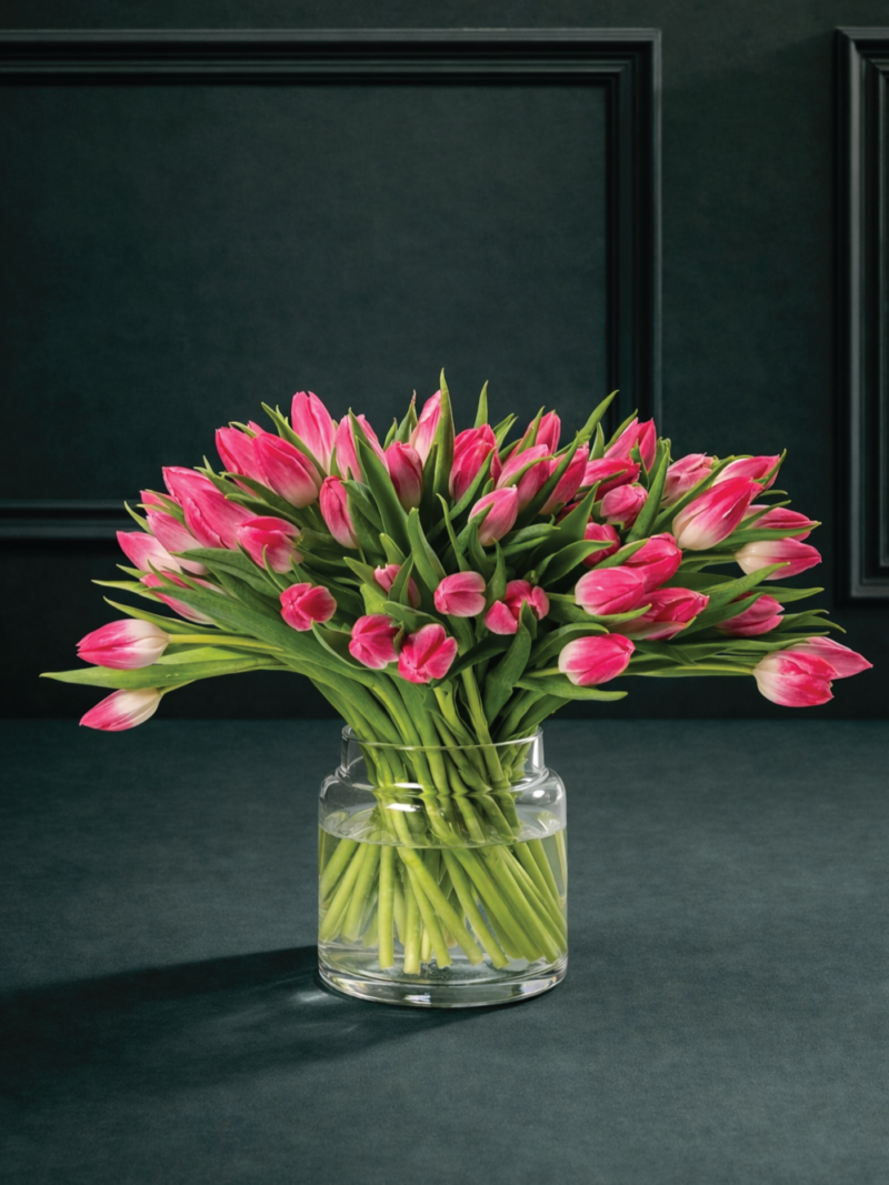 Spilgti rozā tulpju ziedu pušķis