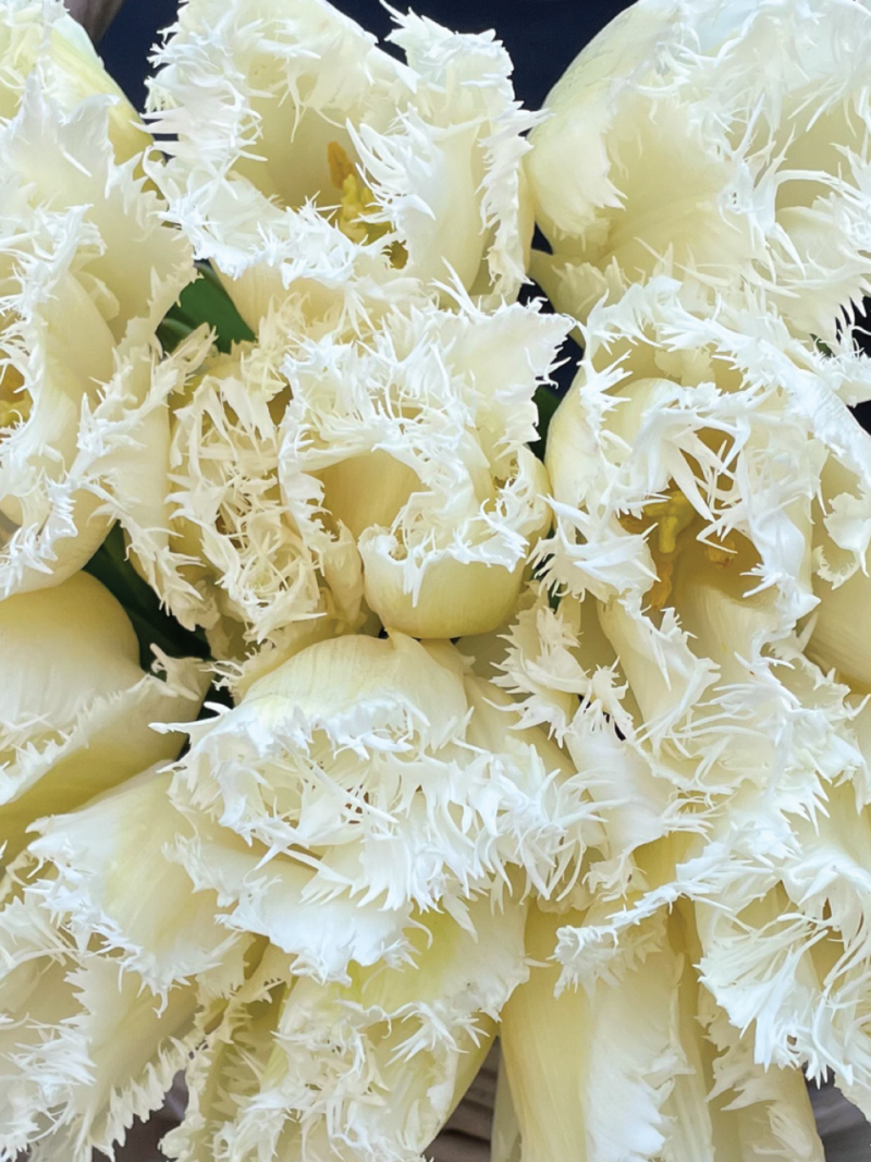 Balto griezto tulpju ziedu pušķis